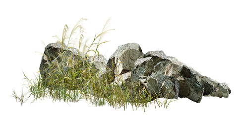 Obraz premium grass on white background/Ultra-sharp high-resolution rocks with wild grass, isolated on a white background. Ideal for nature, geology, landscaping, and environmental design projects.
