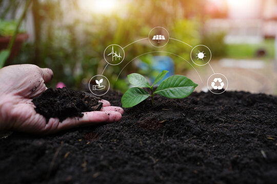 Hand Planting Young Seedling with Environmental and Green Energy Icons