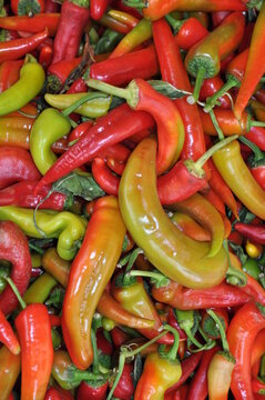 Peperoni