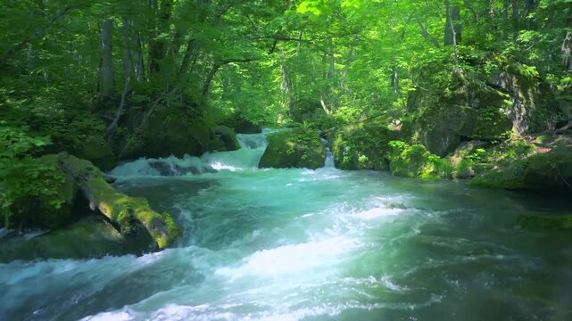 奥入瀬渓流　川　日本　水流