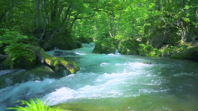 奥入瀬渓流　川　日本　水流