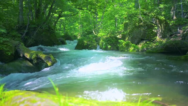奥入瀬渓流　川　日本　水流