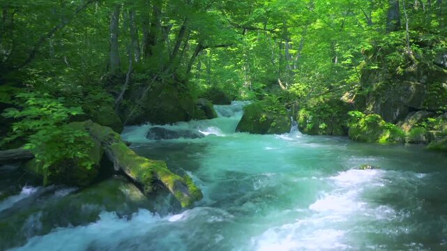 奥入瀬渓流　川　日本　水流