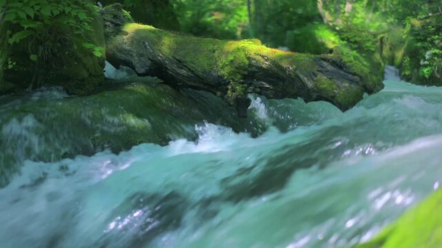 奥入瀬渓流　川　日本　水流