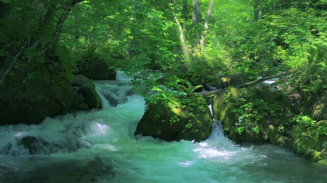 奥入瀬渓流　川　日本　水流