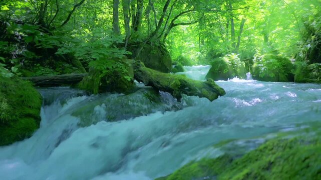 奥入瀬渓流　川　日本　水流