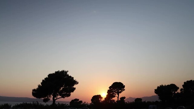Warm sunset glows behind dark pine silhouettes near the sea creating a peaceful evening landscape with distant mountains soft sky and quiet coastal summer atmosphere dusk