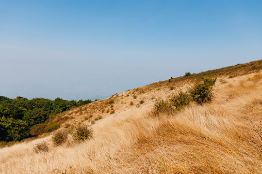 Golden dry grass hillside View point of National Park Doi Inthanon Chiang Mai, top highest mountain of Thailand.