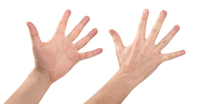 Set of open male hands with spread fingers from both sides, isolated on transparent cutout background