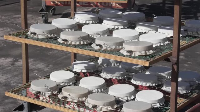 Rows of round drum heads drying on wheeled racks outdoors at a musical instrument manufacturing workshop