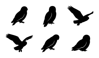 Obraz premium Owl Silhouettes, Nocturnal Bird Poses, Vector Graphics for Wildlife and Nature Designs