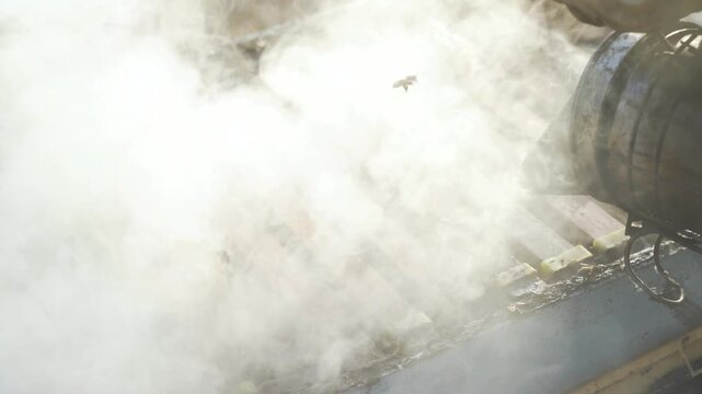 Fixed shot of gentle smoke enveloping the hive as bees remain calm, highlighting controlled fumigation technique, smoker nozzle releasing thin streams of smoke over honey frames during harvesting.
