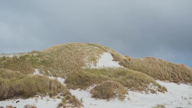 The coastal region of the Falkland Islands