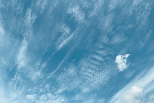 Daylight clear sky sky freedom weather heavenly atmosphere sunlit outdoor view cirrus blue sky sky background soft lighting cloudscape simple background serene blue white clouds clouds