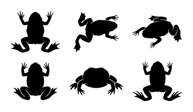 Frog Silhouettes Collection, Amphibian Wildlife Vector Icons, Pond Creatures Graphic Set