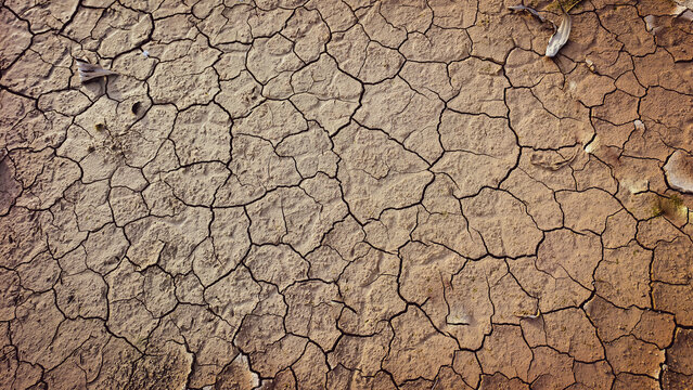 Cracked dry earth showing signs of severe drought and arid conditions