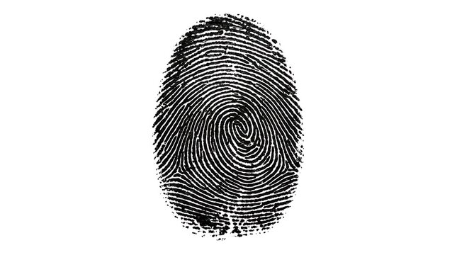 Detailed black fingerprint isolated on white background.