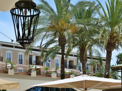 Sunny Hotel Resort Exterior with Palm Trees and Hanging Lamps