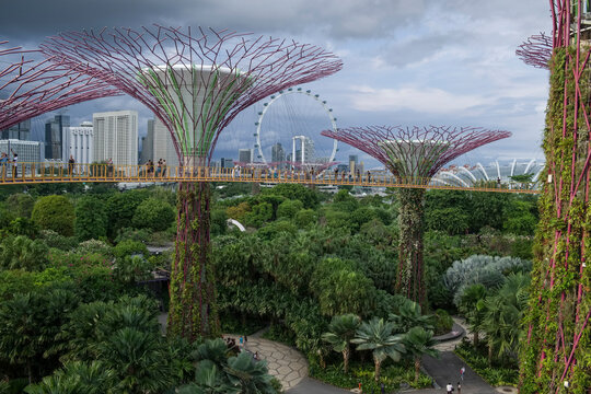 Singapore: Supertrees in the Gardens by the Bay (park)