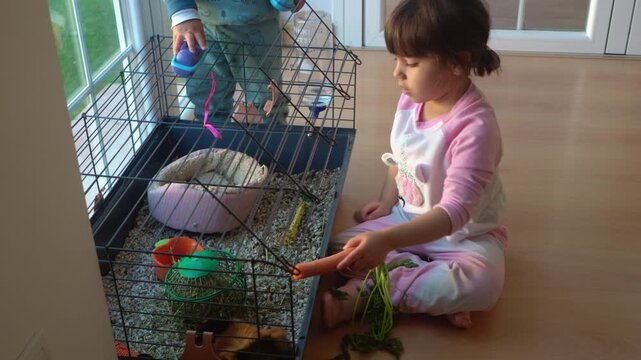 Young girl feeding a carrot to her pet guinea pig in a cage
