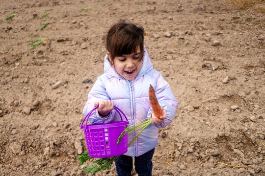 Young white girl joyfully holding a carrot and basket