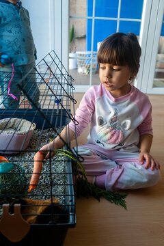 A young white girl feeding a carrot to a guinea pig