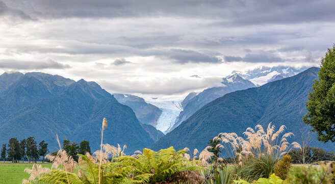 Blick zum Fox Glacier, Suedliche Alpen, Suedinsel, Neuseeland, Gletscherzunge im bewaldeten Tal, gruene Weidelandschaft mit roter Scheune im Vordergrund, dramatischer Wolkenhimmel