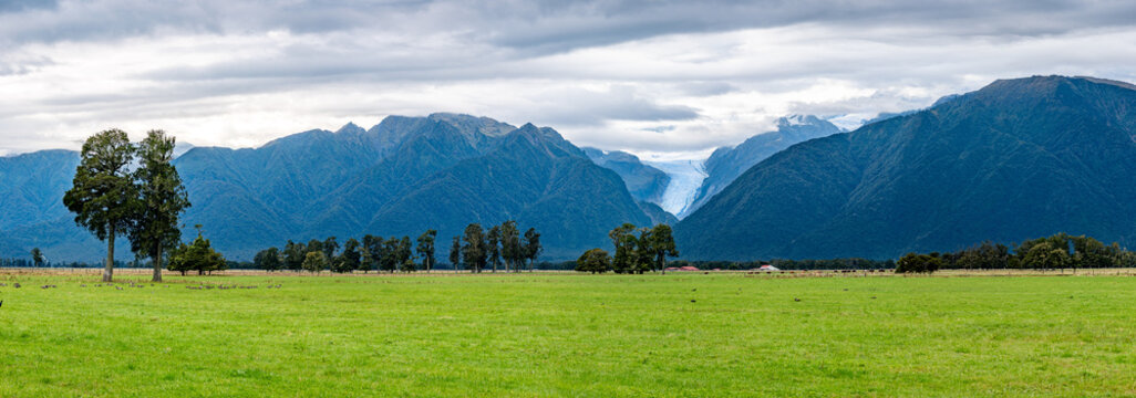 Blick zum Fox Glacier, Suedliche Alpen, Suedinsel, Neuseeland, Gletscherzunge im bewaldeten Tal, gruene Weidelandschaft mit roter Scheune im Vordergrund, dramatischer Wolkenhimmel