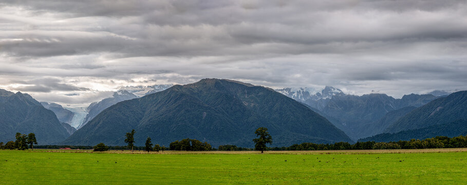Blick zum Fox Glacier, Suedliche Alpen, Suedinsel, Neuseeland, Gletscherzunge im bewaldeten Tal, gruene Weidelandschaft mit roter Scheune im Vordergrund, dramatischer Wolkenhimmel