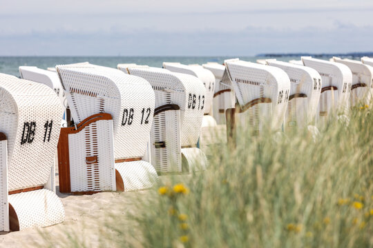 Rows of white wicker beach chairs stand on sandy Baltic coast beside dune grass and yellow flowers. Calm sea, soft sunlight and empty seating create peaceful scenic summer vacation atmosphere