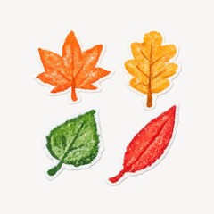 Obraz premium Colorful autumn leaf illustrations.