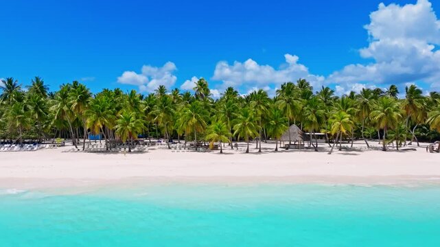 Caribbean resort beach landscape with luxurious palm trees. Tropical landscape with clear azure water. Turquoise sea, tall palms, and thatched umbrellas on the coast. A paradise for a seaside holiday.