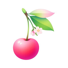Fototapeta premium PNG Vibrant cherry with delicate blossom.
