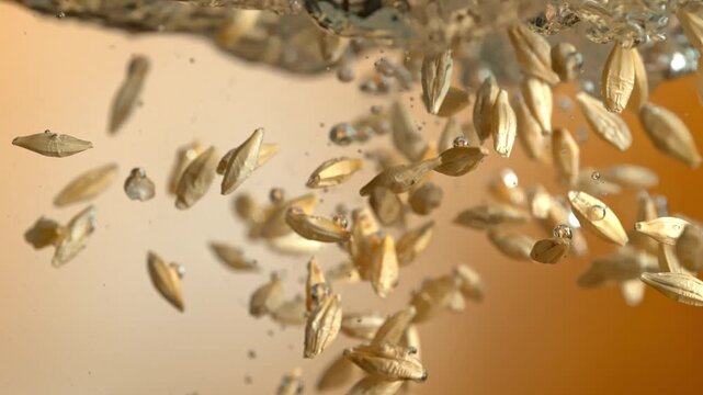 Super Slow Motion Shot of Barley Grains Falling into Water at 1000fps. Beer brewing concept.