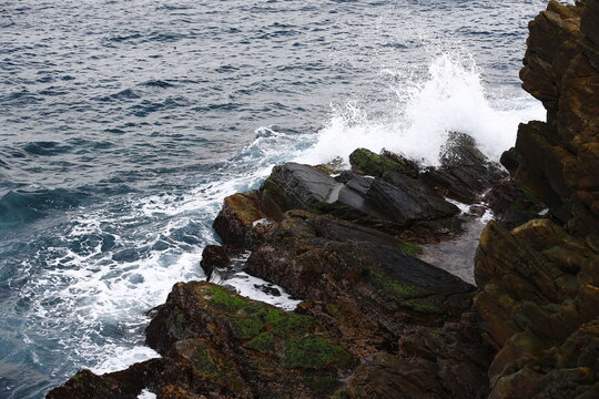Powerful Ocean Waves Crash Against Rugged Coastal Rocks.