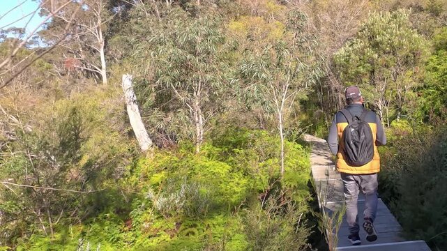 Hiker Walking on Boardwalk Trail in Blue Mountains National Park