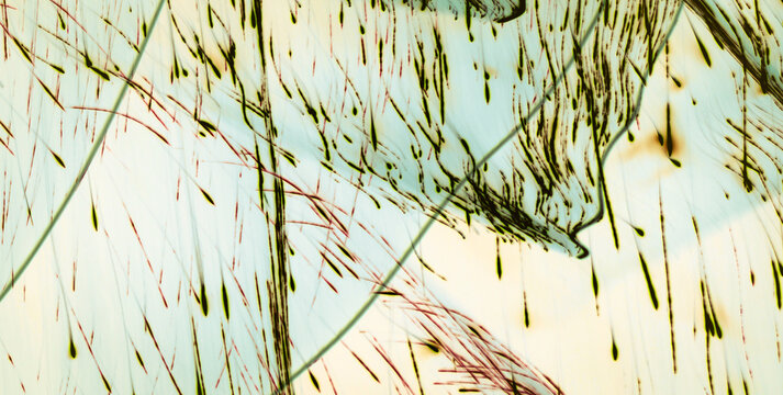 Artistic 2D Element Creating Aquatic Fabric Harmony