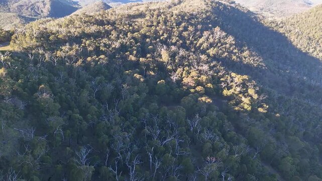 Aerial View of Forested Mountains in Warrumbungle National Park