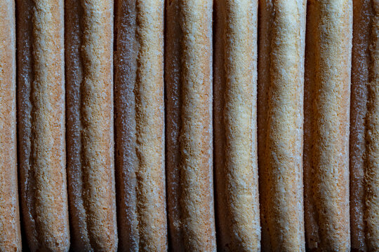 Top view closeup of sweet ladyfinger biscuits or savoiardi sponge fingers arranged in row, textured dessert background for tiramisu recipe presentation or bakery advertising