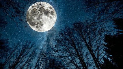 Fototapeta premium Full moon in the night sky. Bright lunar orb glowing above dark silhouettes of forest trees.