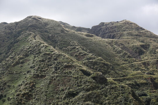 Silver Grass Covers the Rugged Teapot Mountain Ridge.