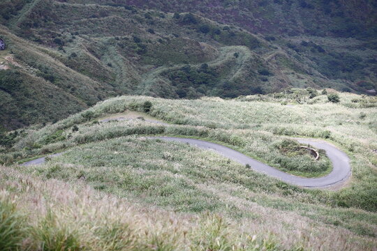 Winding Road Crosses a Silver Grass Mountainside.