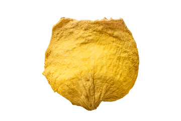 Naklejka premium Rose dry petal isolated