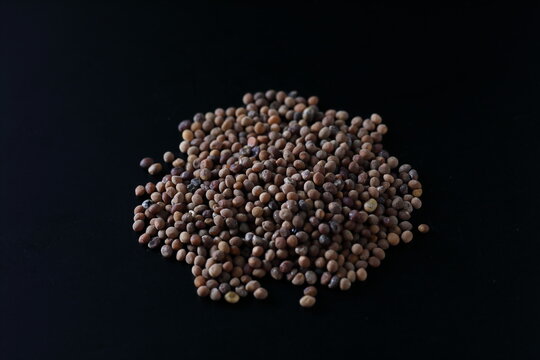 cuscuta chinensis - Chinese dodder - tusizi