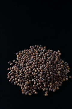cuscuta chinensis - Chinese dodder - tusizi