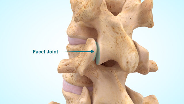Facet joints of 3d illustration
