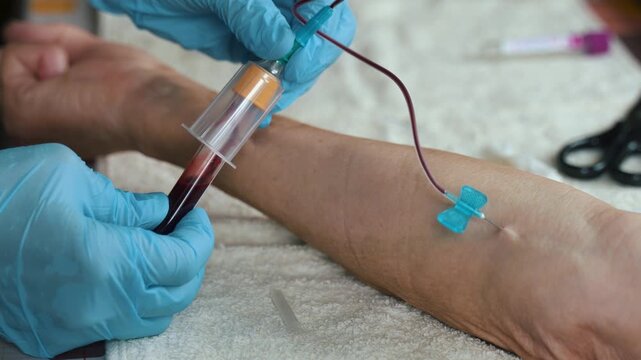 Healthcare Worker Collecting Blood with Butterfly Needle at Home