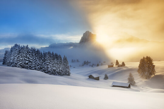 Lever de soleil hivernal sur l'Alpe de Siusi dans les Dolomites