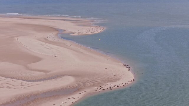 Renesse (Zeeland, The Netherlands) | Drone