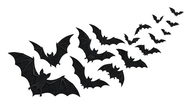 Set of black bat silhouettes isolated on white background for halloween decorations.
